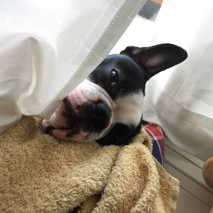 2baa48cf 6bf4 4344 8d66 a63753bd6a15