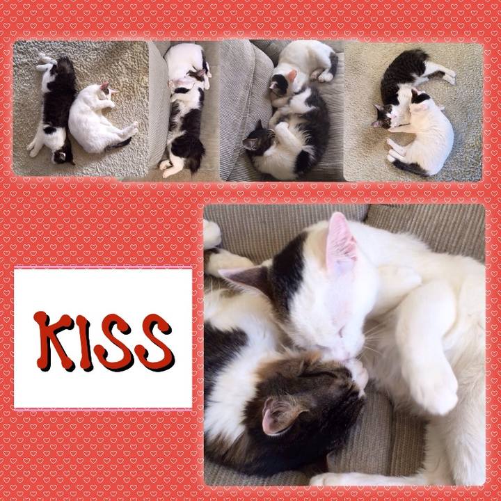 2baa9e70 6bce 480b bbf3 5d03f392262f