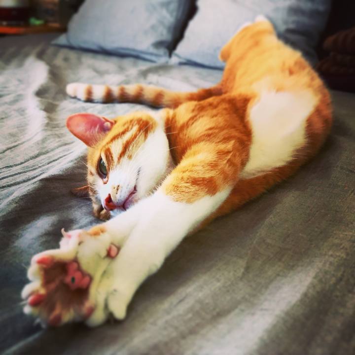 2bac521b b704 45c3 bd6c 3c7e2e904236