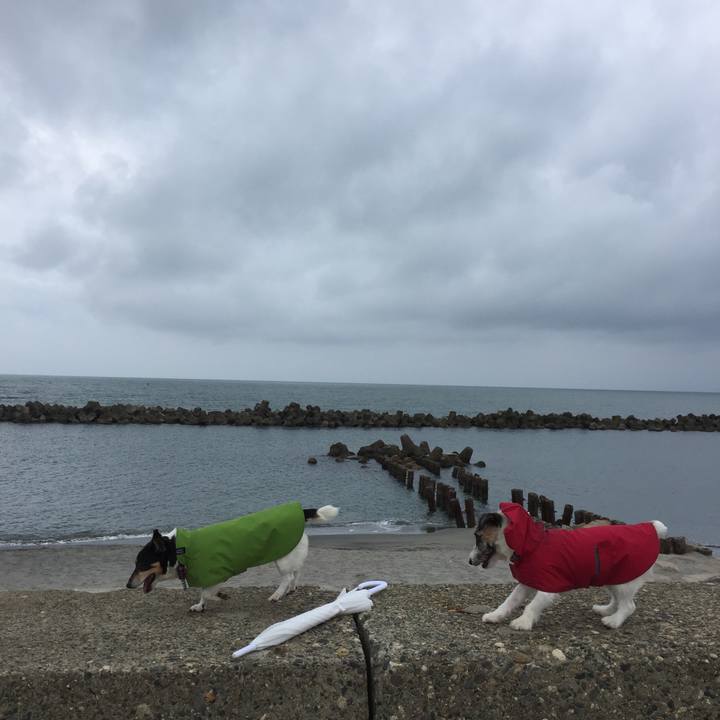 2bad6606 3c0e 4af6 a475 da630e7b7779