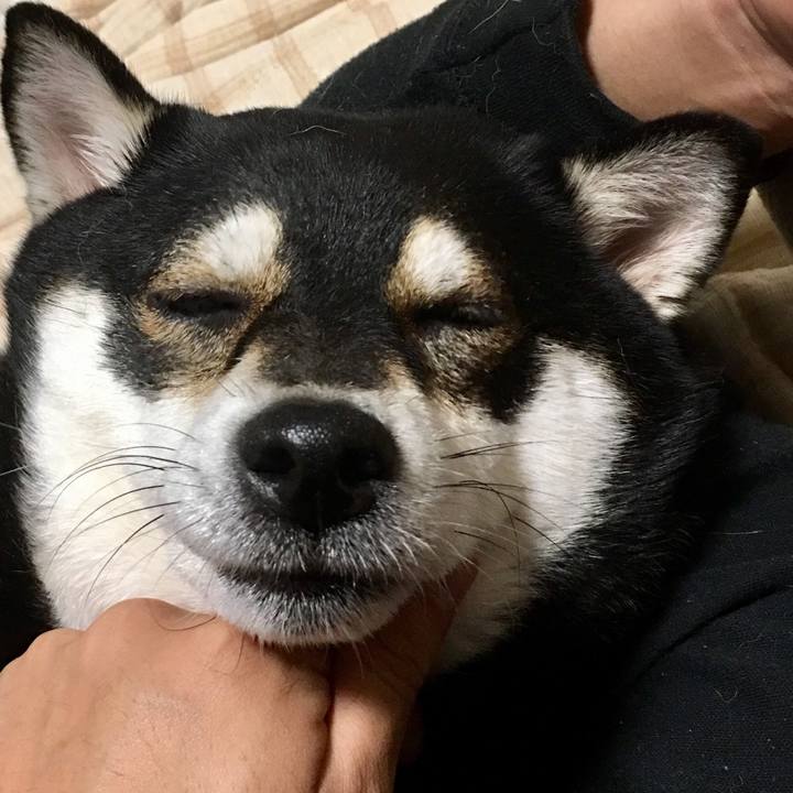 2bad7989 0888 4226 9315 e7ed953702ae