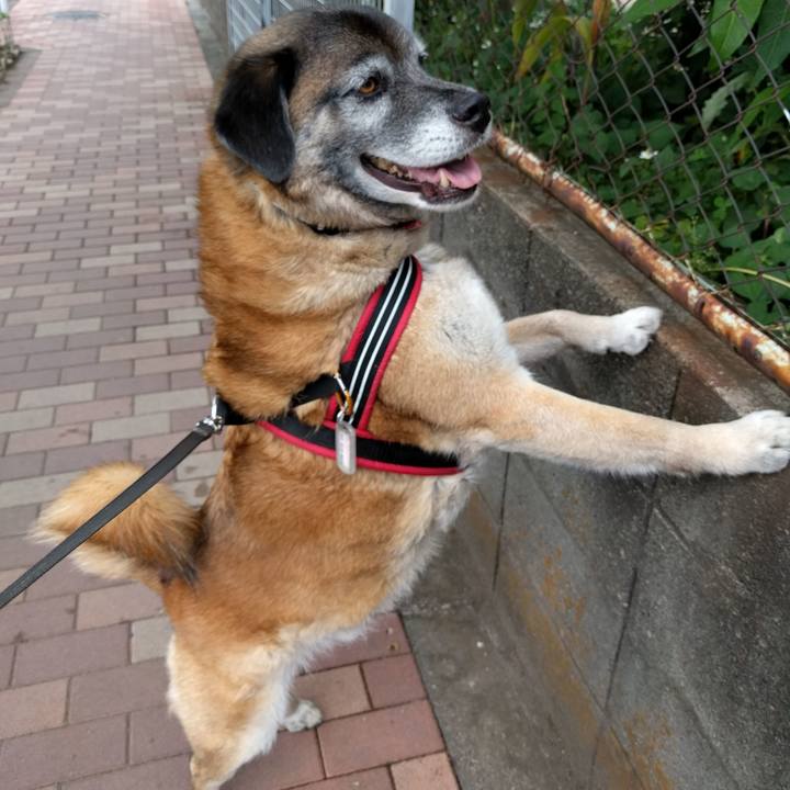 2badcb59 e8d7 4d38 aa37 b47f0ab2f175