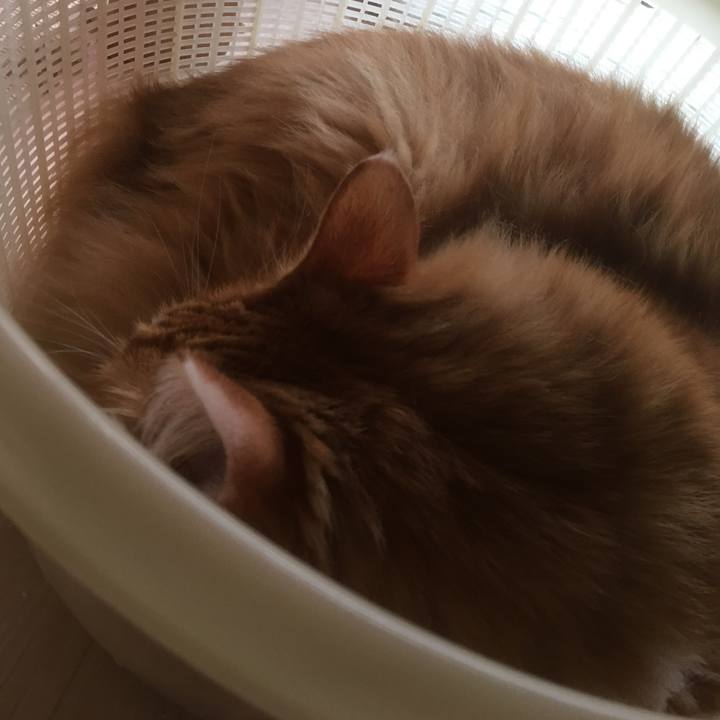 2badcc83 a1d4 4676 b2f7 e3fc4d60c61c