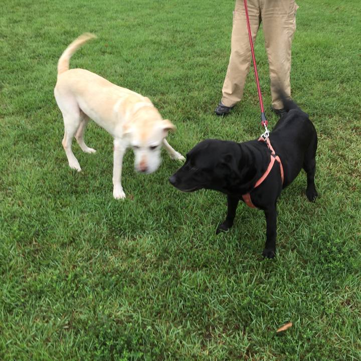 2badd9a1 f3a5 419f a040 35c8b5d63479