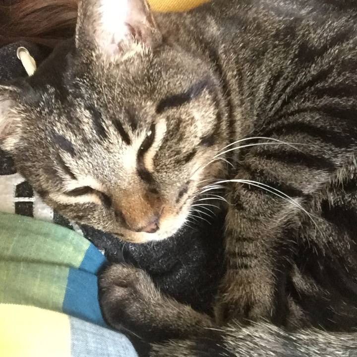 2baea24a bb48 44fc b550 622f753ef749