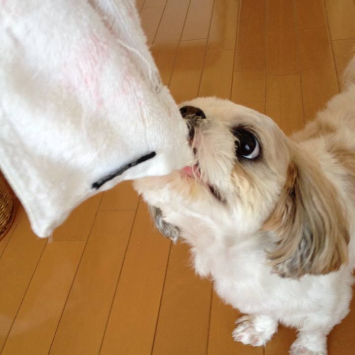 2bafc0b9 85b4 4760 baff c30ca730cb3d