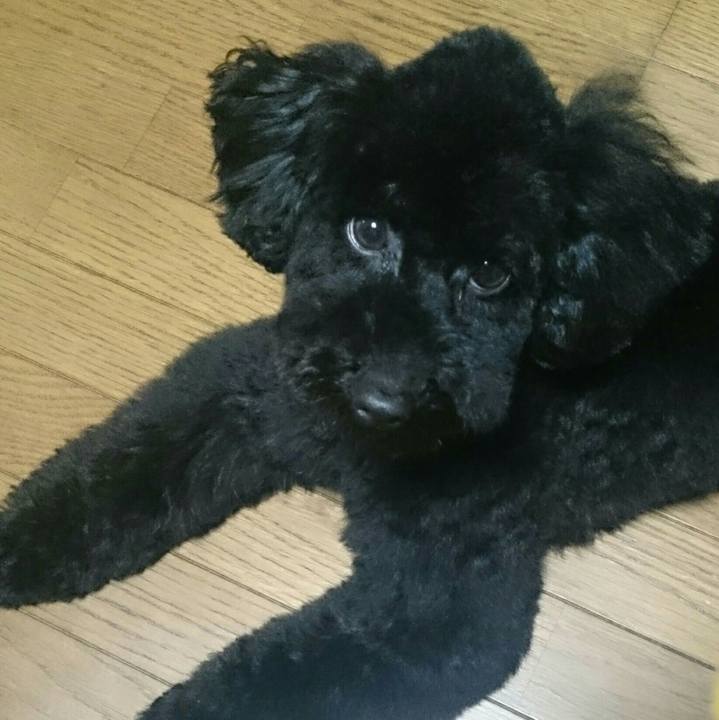 2bb01fa8 c7ff 45f3 be6a 5b7731a2552e