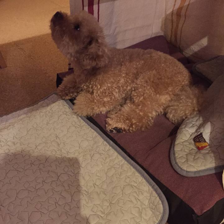 2bb02598 9a84 4c36 9d9b 4e3ccaee9585