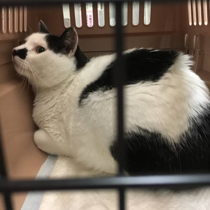 2bb0301a 9804 4e59 ace4 6d056ec975da