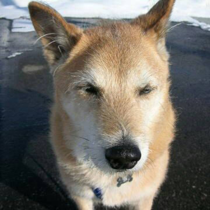 2bb0369e 2e29 4abf 827c 9231c5a48238