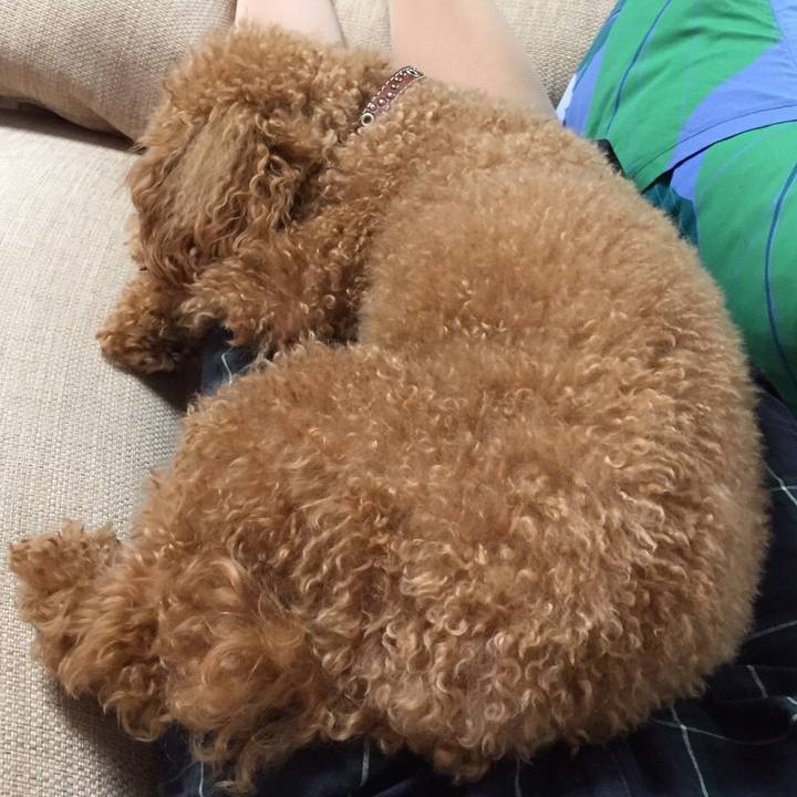 2bb04340 a758 441a b028 508f8333e84e