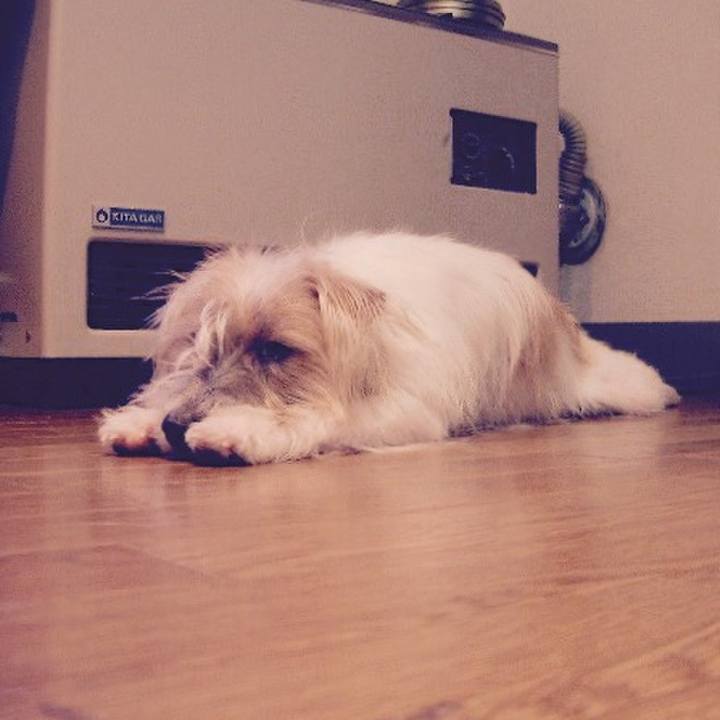 2bb053ac 2390 4ffe b7f3 31c9092aa87c