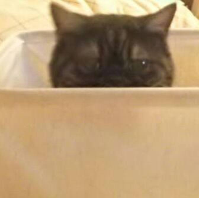 2bb081c8 fe3d 4fc5 b742 5f4bbde5b17d