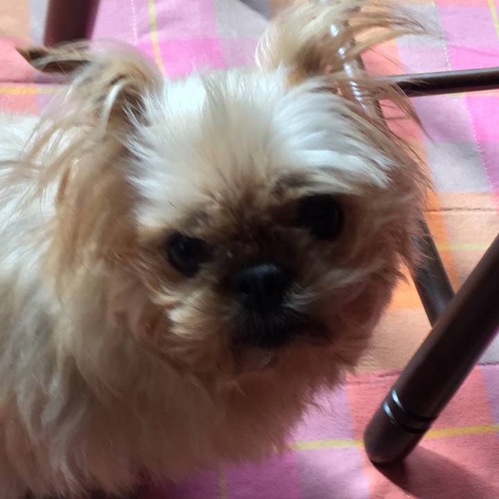 2bb19c15 0f93 43cc b250 88c59c9a6caa