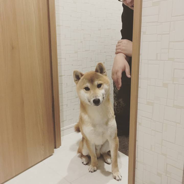 2bb1ae45 62c9 4b94 8fcb 5674c6e55ae1