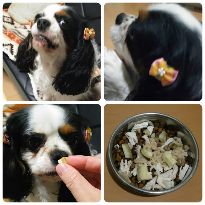 2bb22788 1502 4ba8 a705 eacaa59521ca