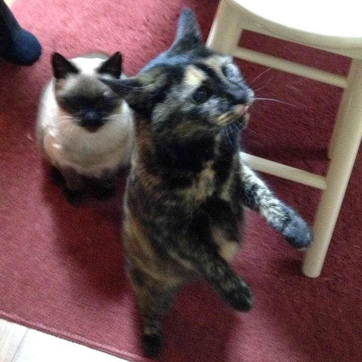 2bb29d75 8b34 4f29 9bf8 c647ab669204