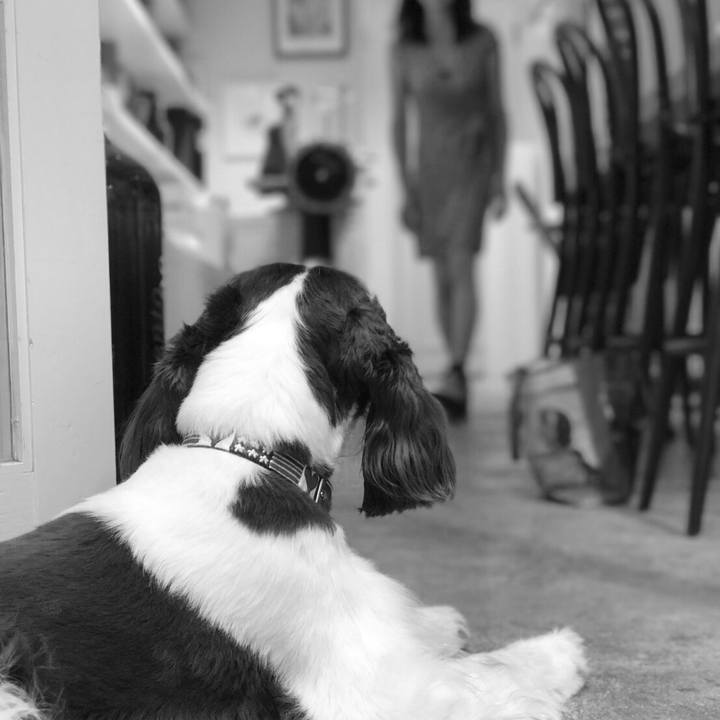 2bb38263 96db 487e bacf 9a0f98203c22