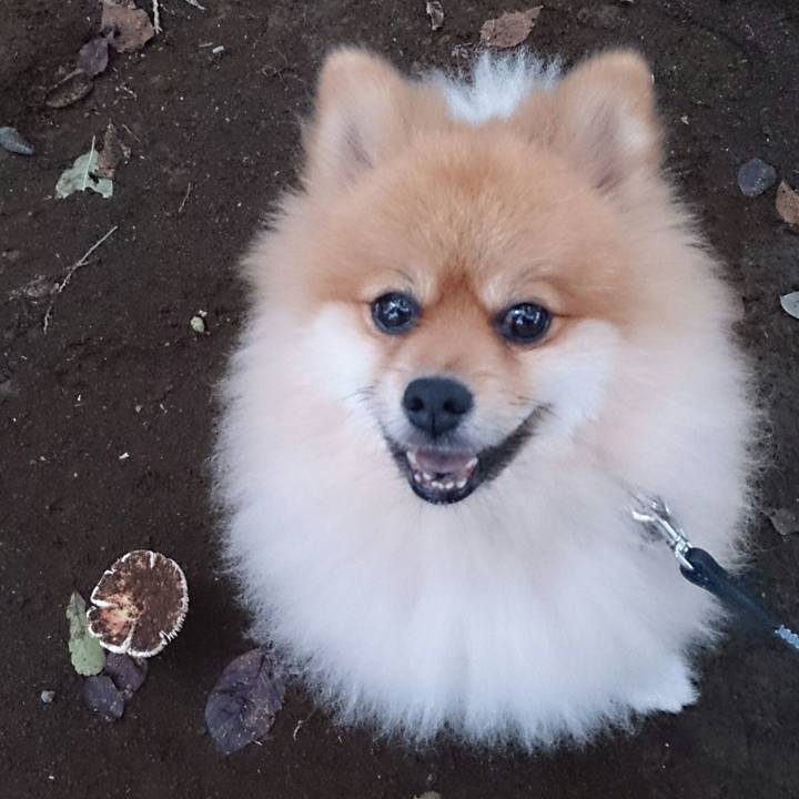 2bb3b9fe 1117 4798 9a55 6f03514330d5