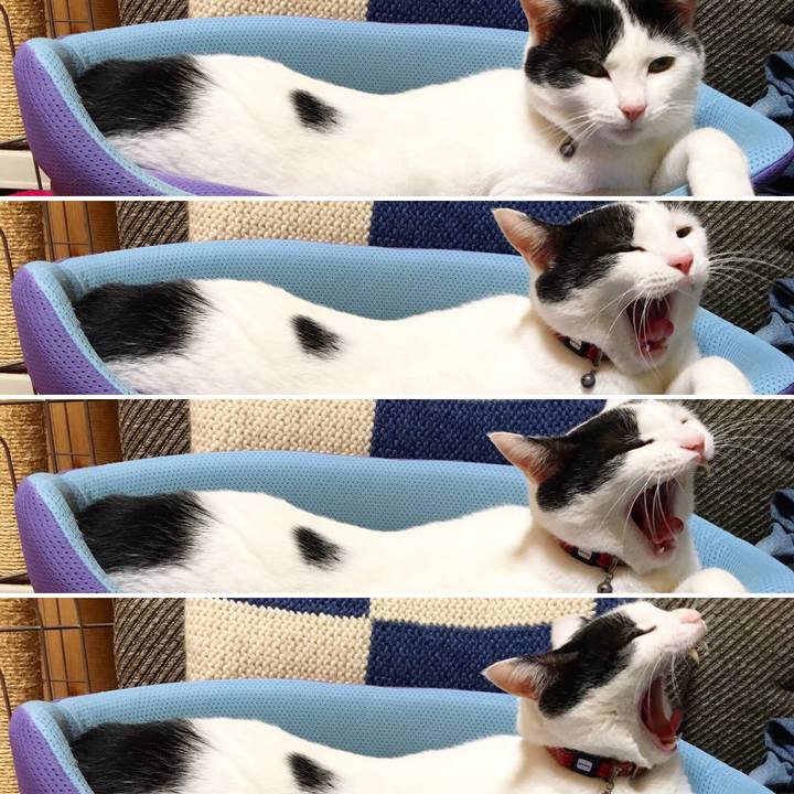 2bb3bb5b 8447 4737 b425 195ba5fa66fd