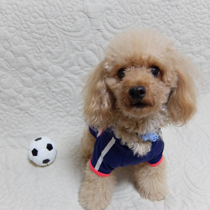 2bb3e93c 0aa6 4367 b150 393ee0de418e