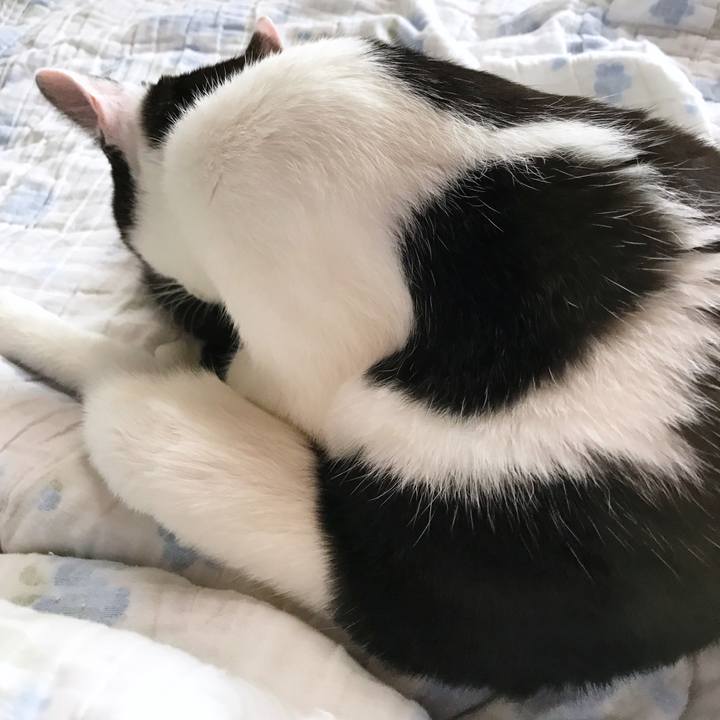 2bb438fd 0d14 4599 a4cf 10151f1d2883