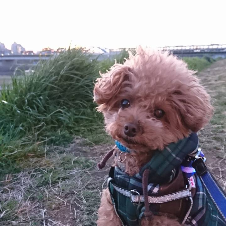 2bb4d54f 64ff 430c a667 b571f53cedee