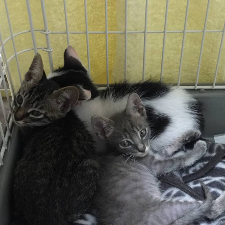 2bb4e04b 7070 4ef6 92e1 eb158267efe0