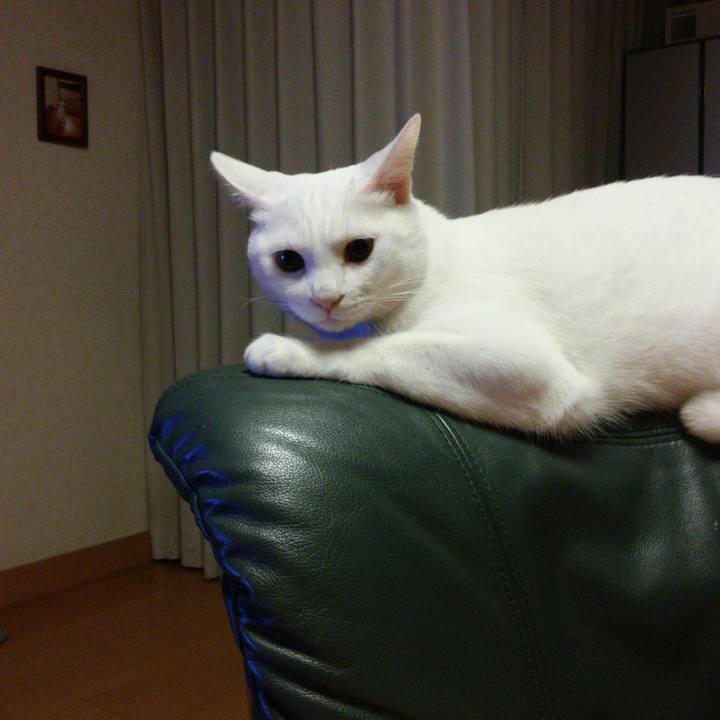 2bb509f3 6e3f 48d0 8f2d 0f3f730b3dad