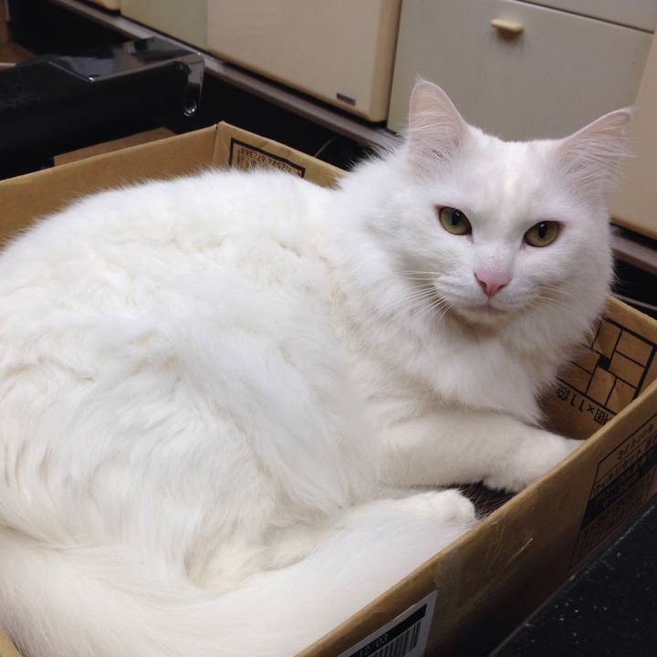 2bb5f90f dfda 43b2 b3b8 31cd1ded4643