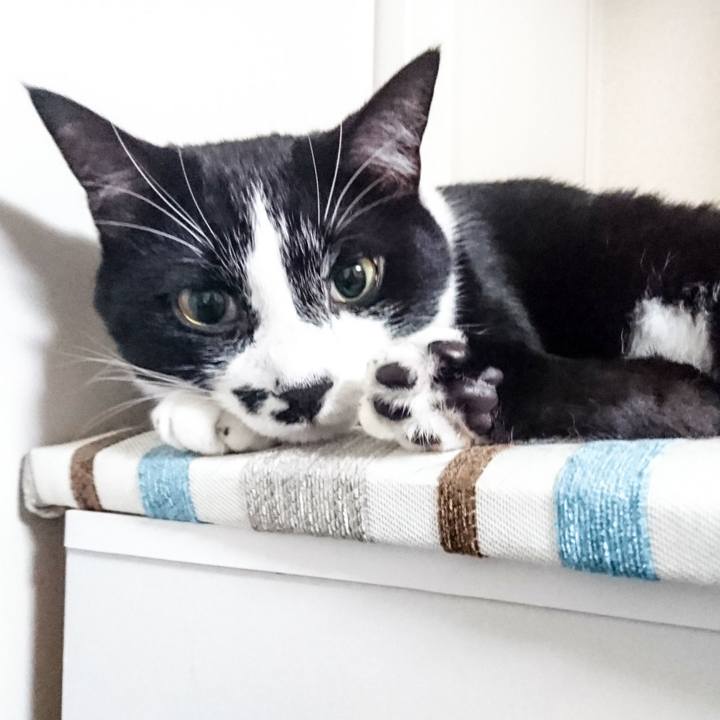 2bb708b1 148d 4134 ac3e aa5c37dc99ee