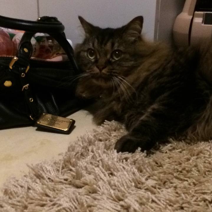 2bb7aaa2 f2c3 4833 8352 83954fcf6bb8