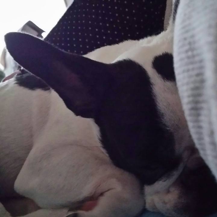 2bb7cb09 0871 4880 a64e 3ad6e50f9243