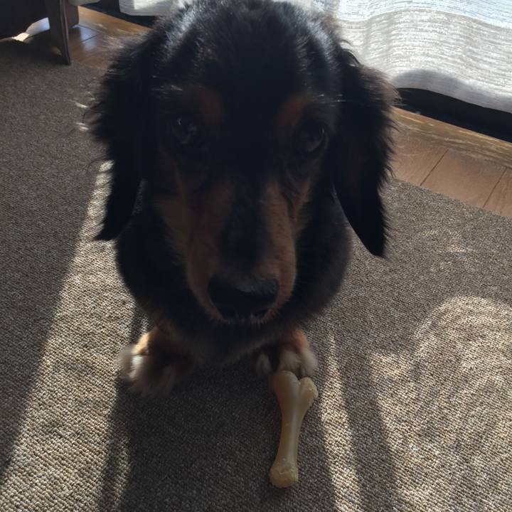 2bb8fe59 6156 4b66 98bb 5db8e142c19c