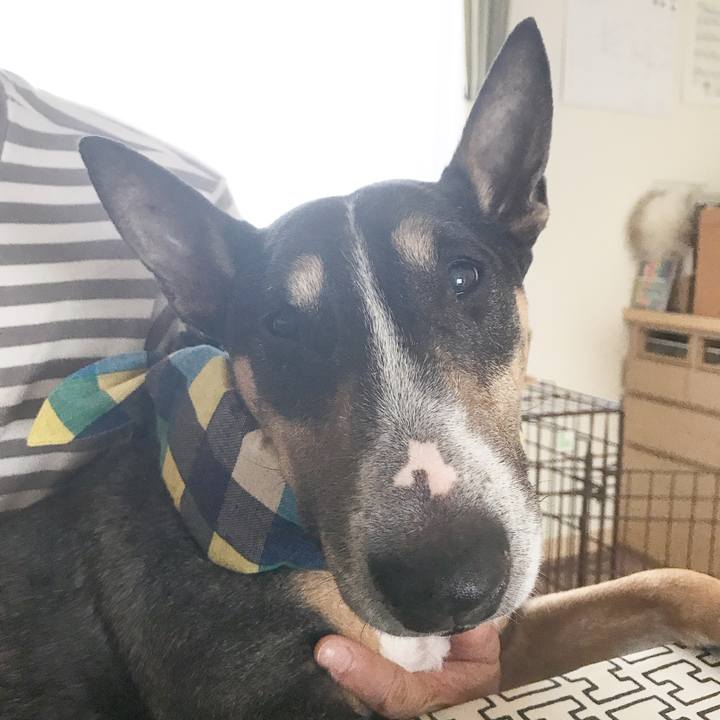 2bb959b9 8248 4384 97c1 fa5ed8482803