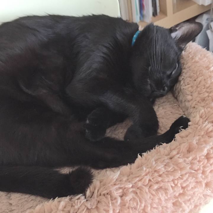 2bb97275 543d 4f78 87bc 918826e510e0