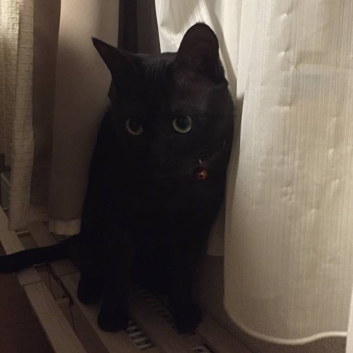 2bb9e275 a9b6 41c8 8e3e 63bc6c3bb3f7