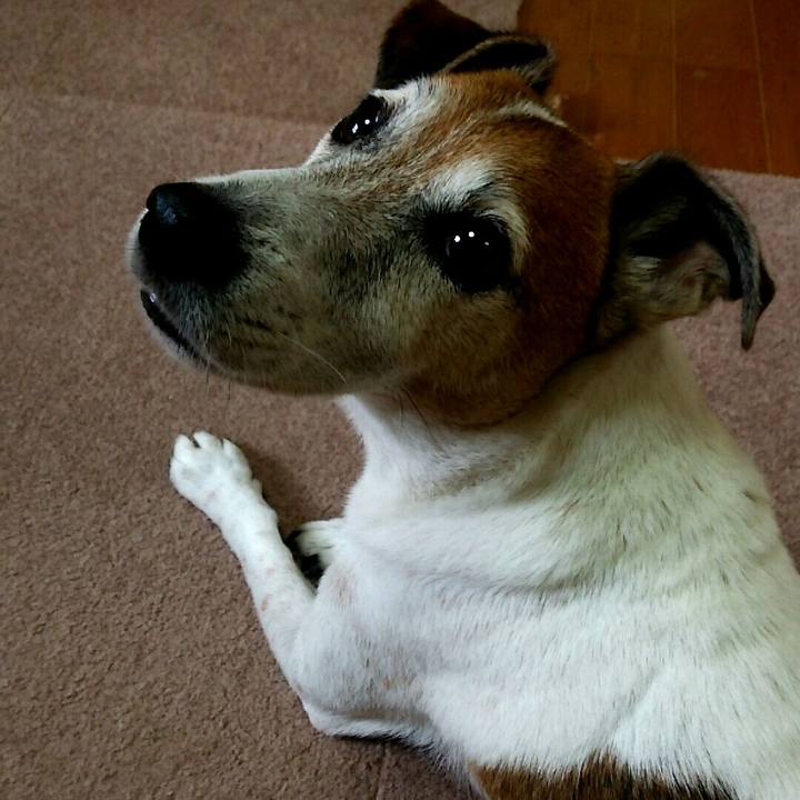 2bb9f38b 955c 46db 93e9 56b926fd5b32