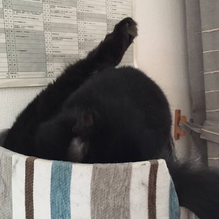 2bba34f1 1fc9 4d2b b28e 33d334e2e46a