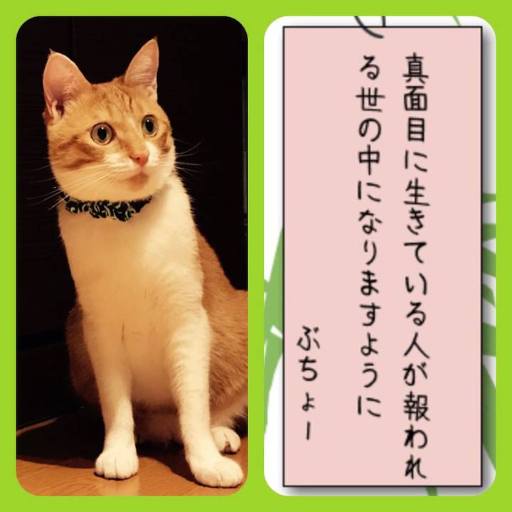 2bba442a 73f7 4cd7 9648 0584717546ec