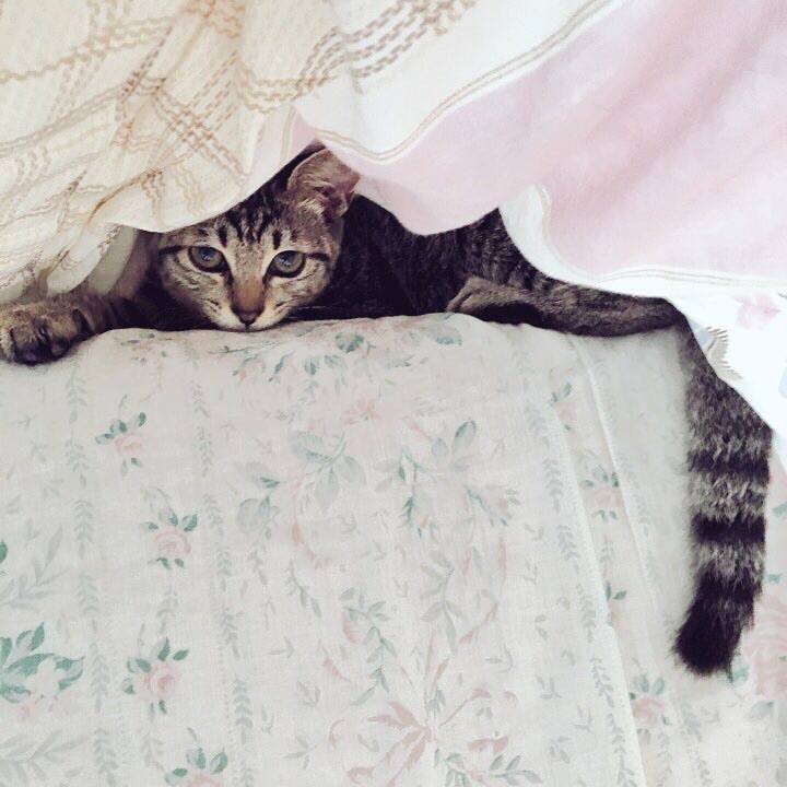 2bbc52a6 2084 49a0 94a9 2a526bcf00b5