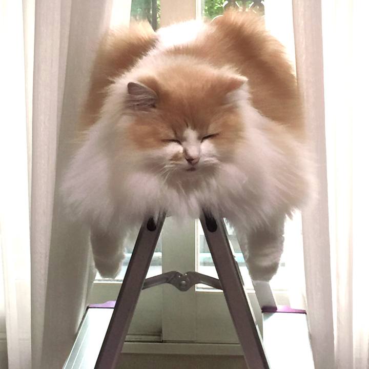 2bbc8227 d827 4d02 9a02 c536fcf782b3