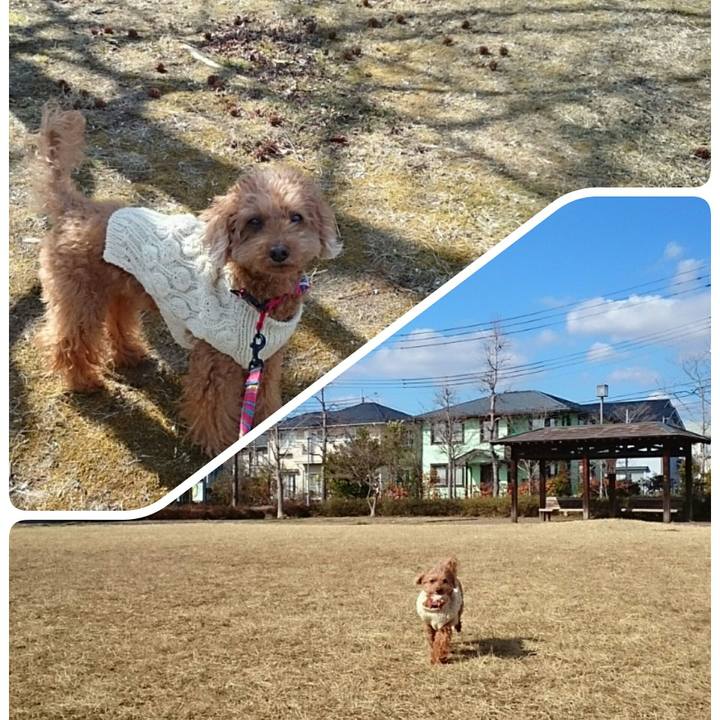 2bbceafa aa7e 4afa a075 a1408a5f6110