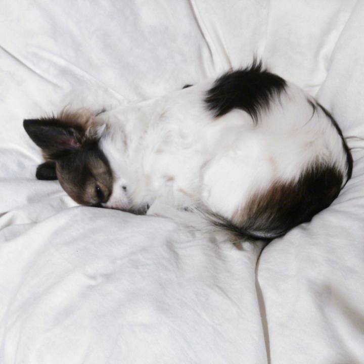 2bbdea56 8ff9 4781 a17a 38378342ffcd