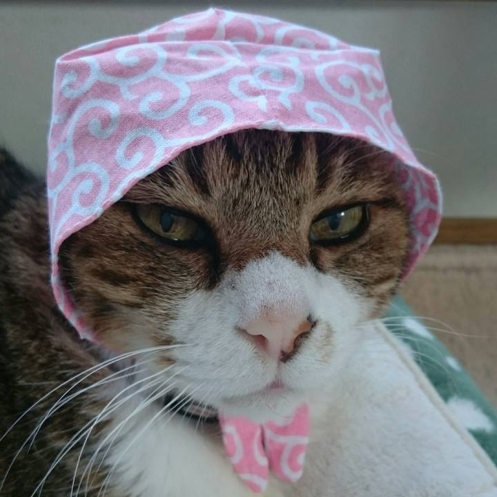 2bbe483e 2cdb 4188 be0c 03aa6cc40de5