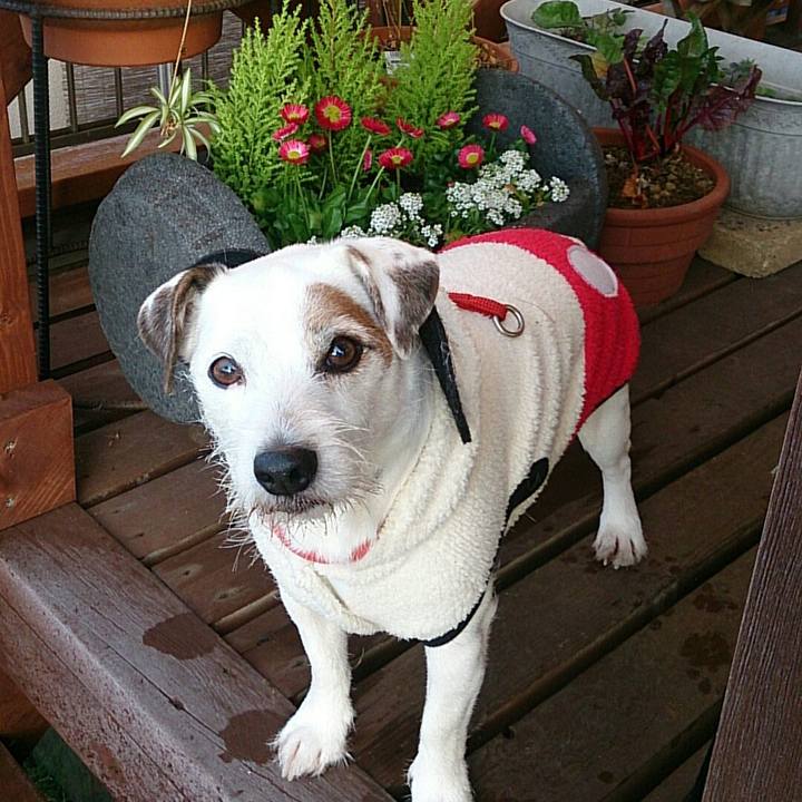 2bbe4e6d f7d5 4d91 98dd 137b7ca51541