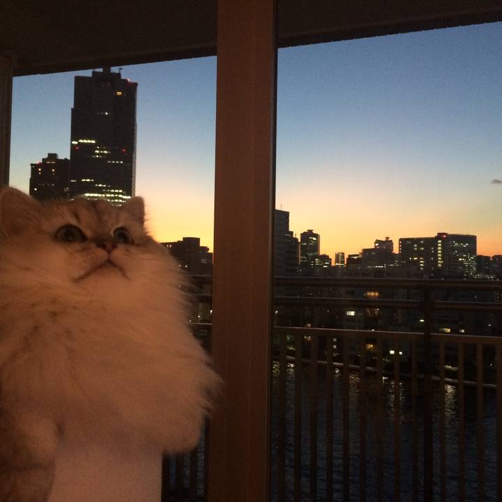 2bbec889 705a 4f12 83ab 3a9b71926e3a