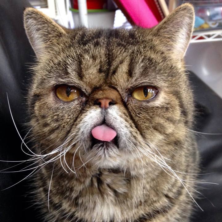 2bbf4b53 c0a7 47c0 84da 45f8e334af70