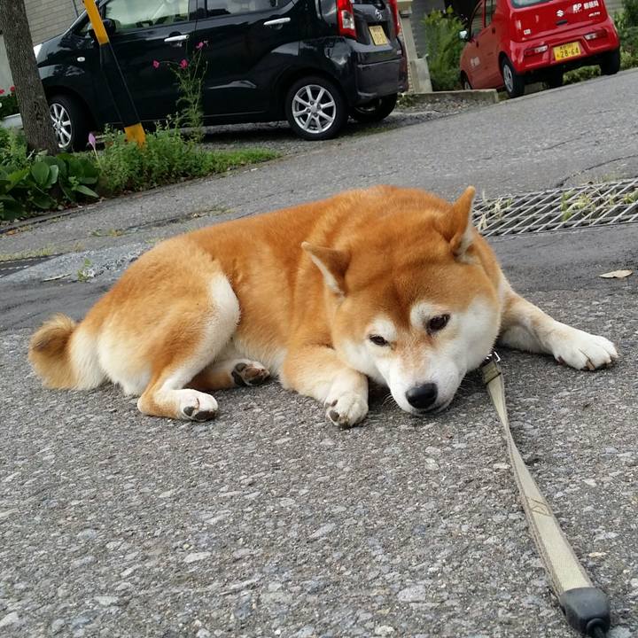 2bbf741f e269 4daf a461 24b8fb736cfe