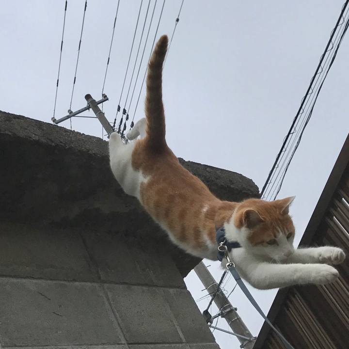 2bbfc4ea b036 400a b118 432d888fefd0